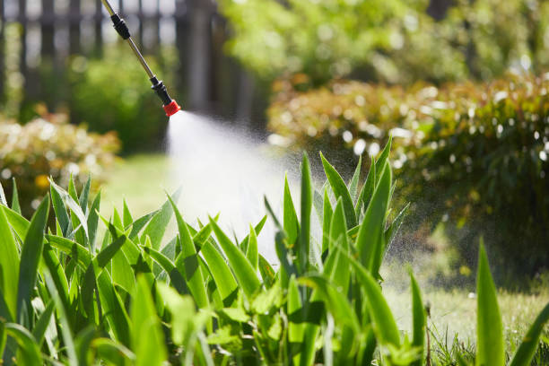 24/7 Emergency Ant Control experts in Hubbard, OH